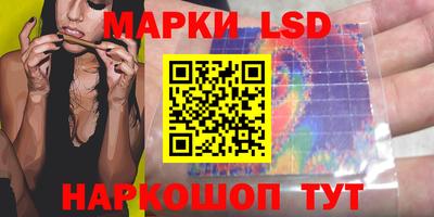 сатива Будённовск