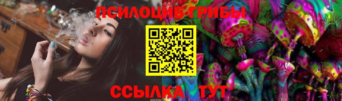 Псилоцибиновые грибы Cubensis  Вход с VPN  как найти   Галлюциногенные грибы мицелий  Тверь 
